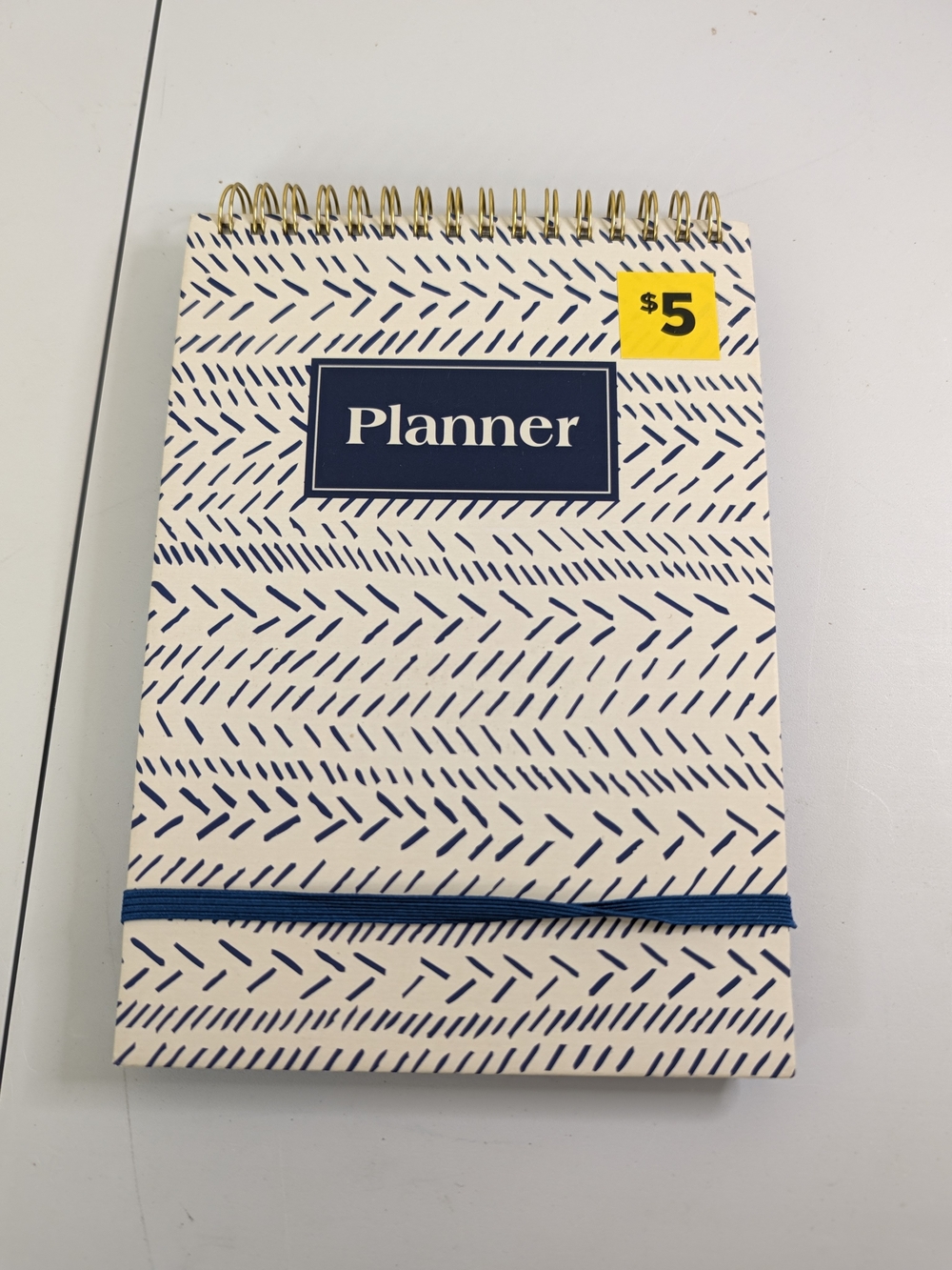 B27 Planner Notebook - Blue and White Spiral Organizer